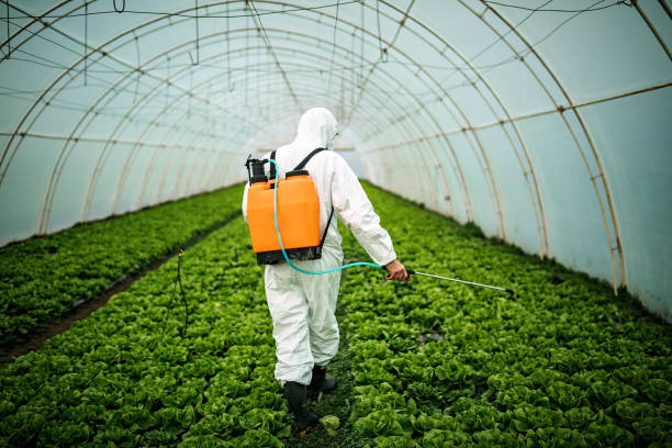 Best Commercial Pest Control Services  in Gordon, PA