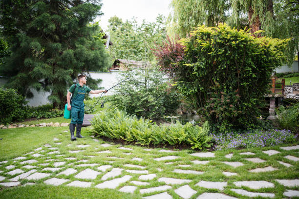 Best Pest Inspection Near Me  in Gordon, PA