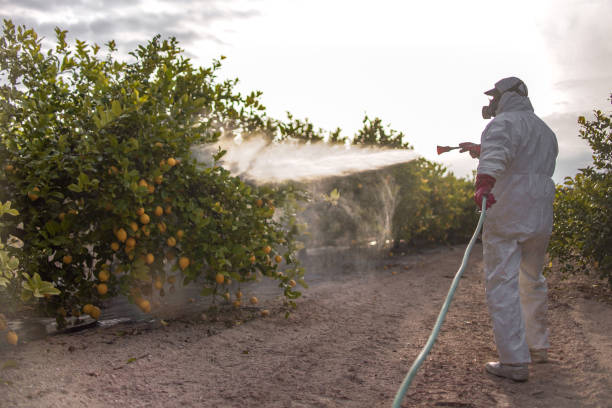 Best Emergency Pest Control  in Gordon, PA