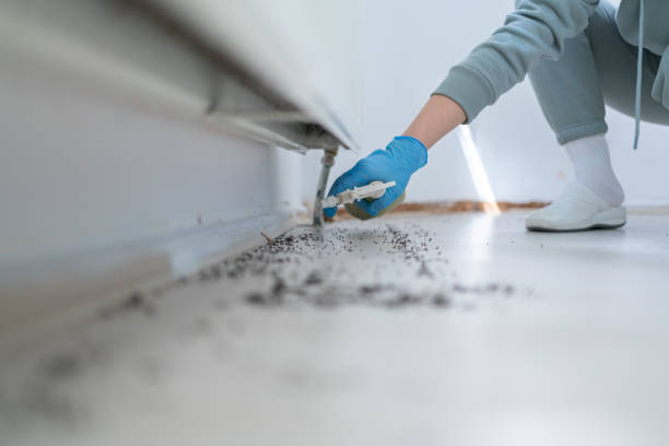 Best Local Pest Control Services  in Gordon, PA